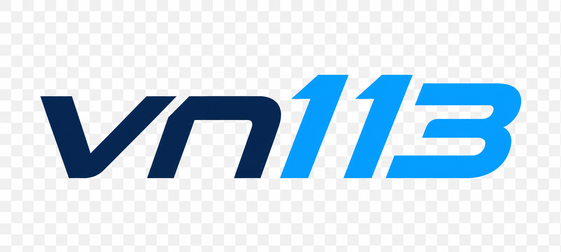 VN113
